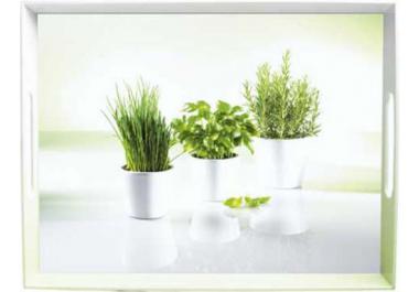 Bandejas Decorativas