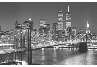 P&oacute;sters de New York