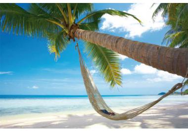 P&oacute;sters de Playas